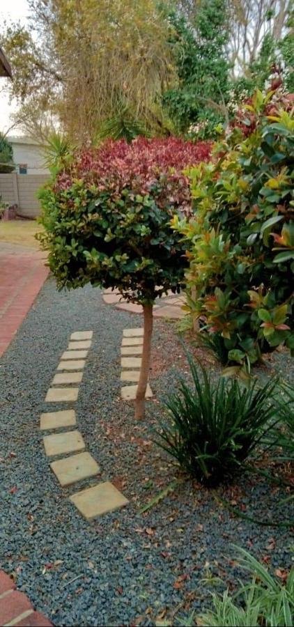 Aandrus Guesthouse Bloemfontein Buitenkant foto
